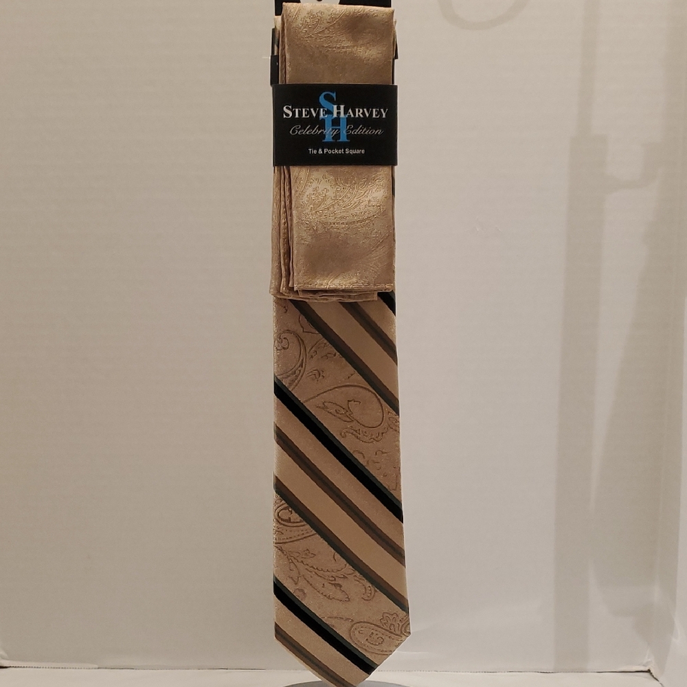 Steve Harvey Men's Tie & Pocket Square                   🥳🥳 HOST PICK 🥳🥳